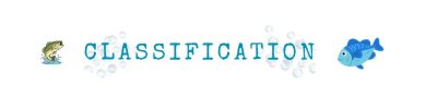 classification