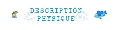 description physique