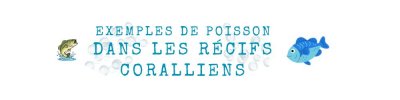 récifs coralliens